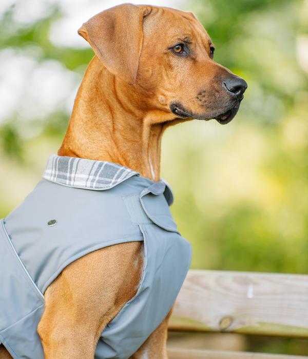 Nobby Hundemantel Sela, grau