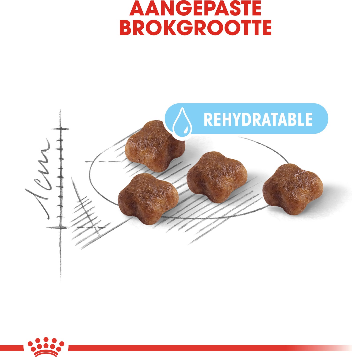 Royal Canin kattenvoer Mother & Babycat 400 g