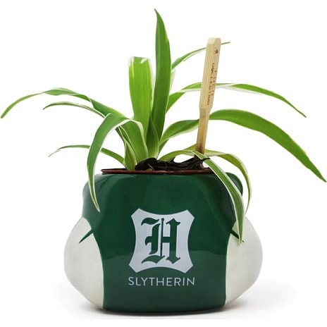 Half Moon Bay Harry Potter plantepotte - Slytherin