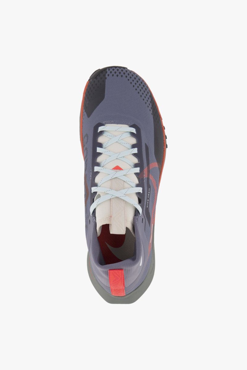 Nike Pegasus Trail 4 Gore-Tex® Herren Trailrunningschuh