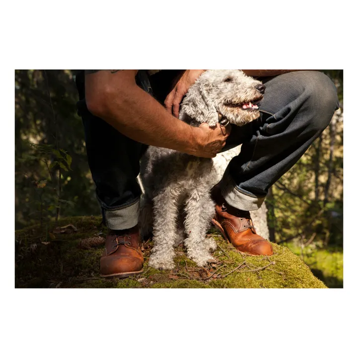 Red Wing Boots Blacksmith | Brun