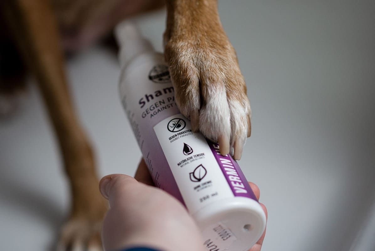 Bellfor Hundeshampoo Vermin Health - gegen Hautparasiten beim Hund