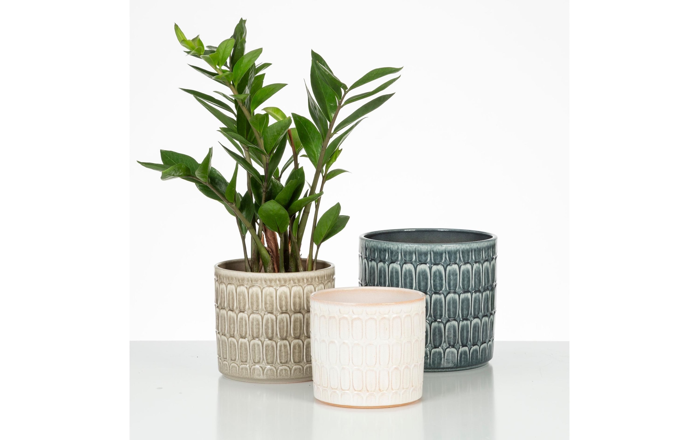 Scheurich Blumentopf »Opale 18.6 cm«