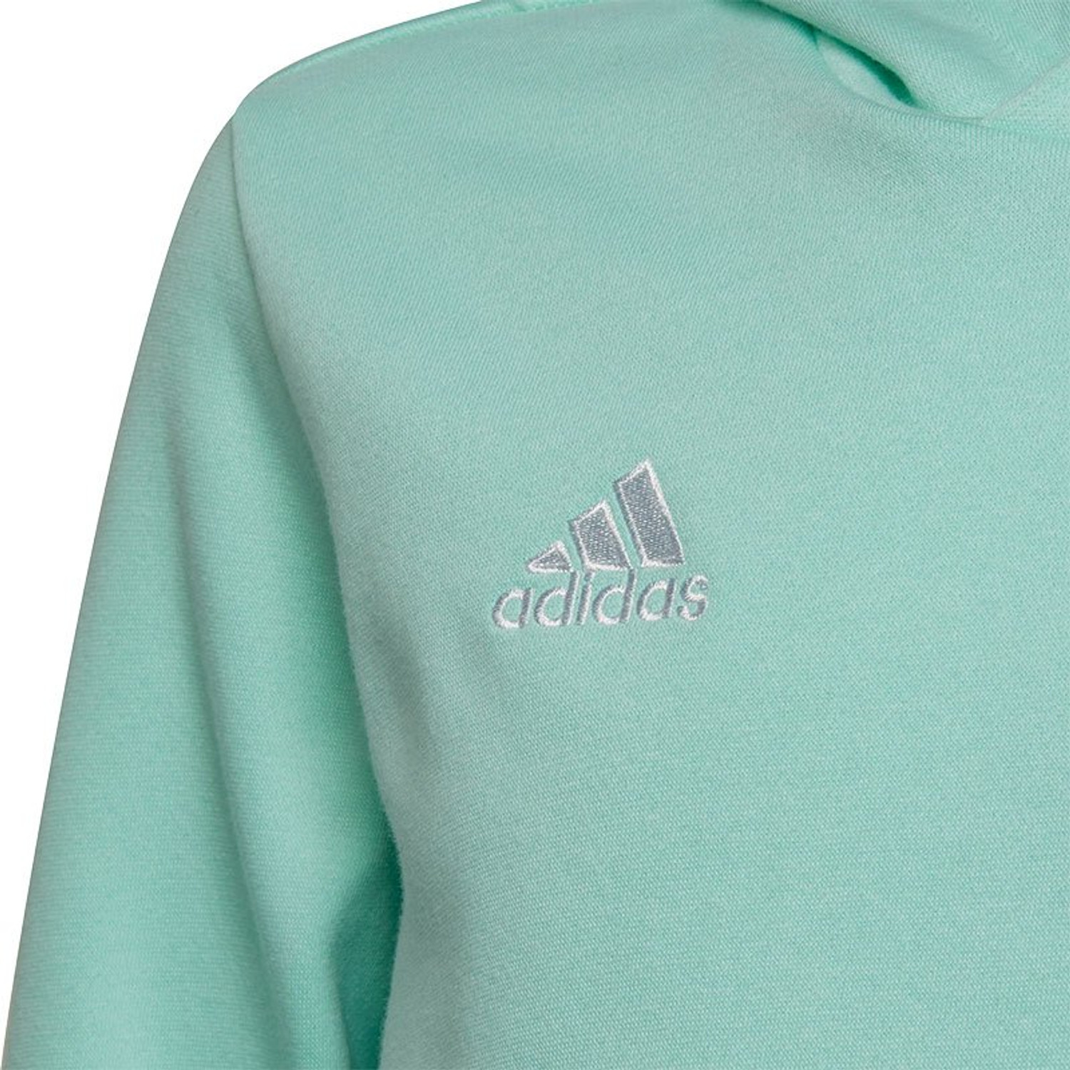 adidas Entrada 22 Hooded Sweat Trainingspak Kids