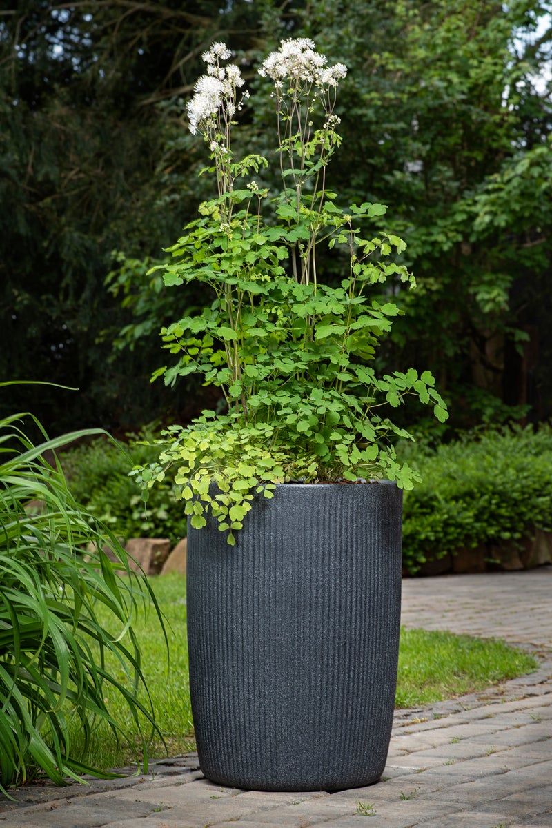 Scheurich Linetto High 54, hoge bloempot/plantenbak, rond, gemaakt van kunststof, kleur: Stony Black, diameter 38,6 cm, hoog 53,9 cm, inhoud 50 l.