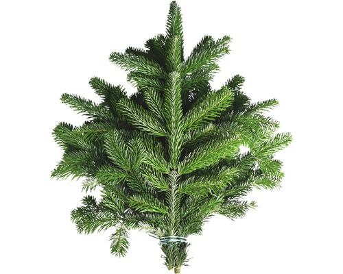 Dennengroen, Nordmann-spar, snijgroen, handgebonden bundel, ca. 1 kg