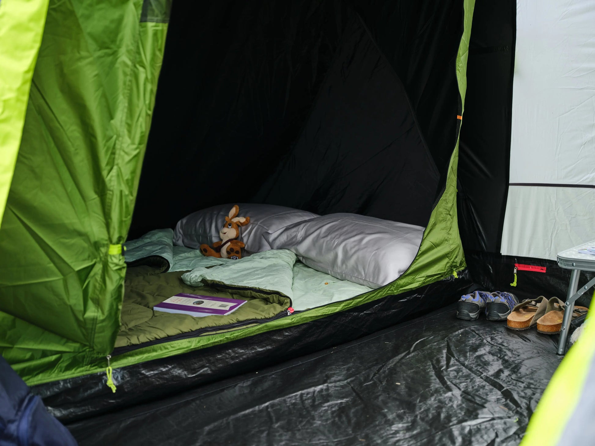Coleman Spruce Falls 4 Blackout