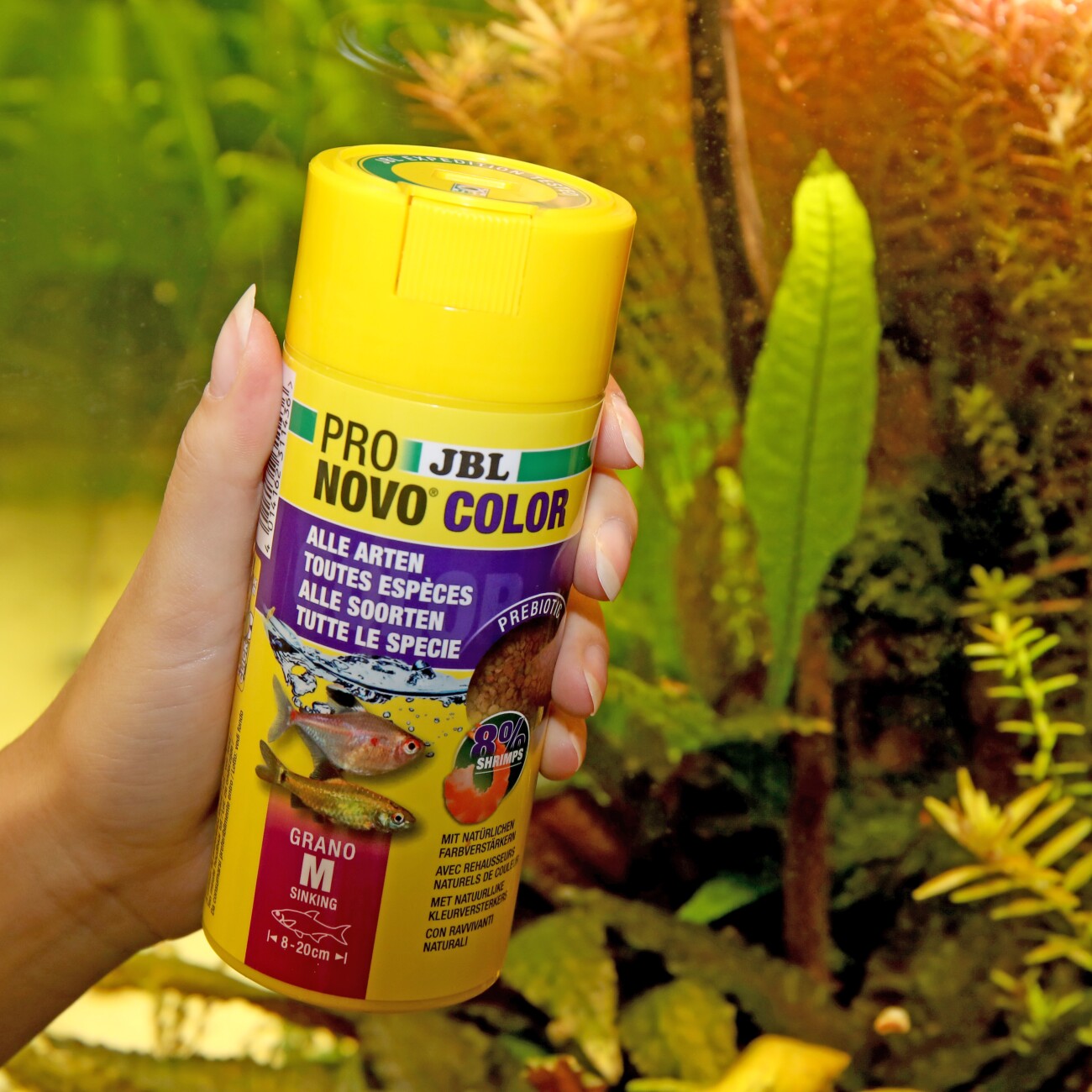 JBL PRONOVO Color Grano M 250ml
