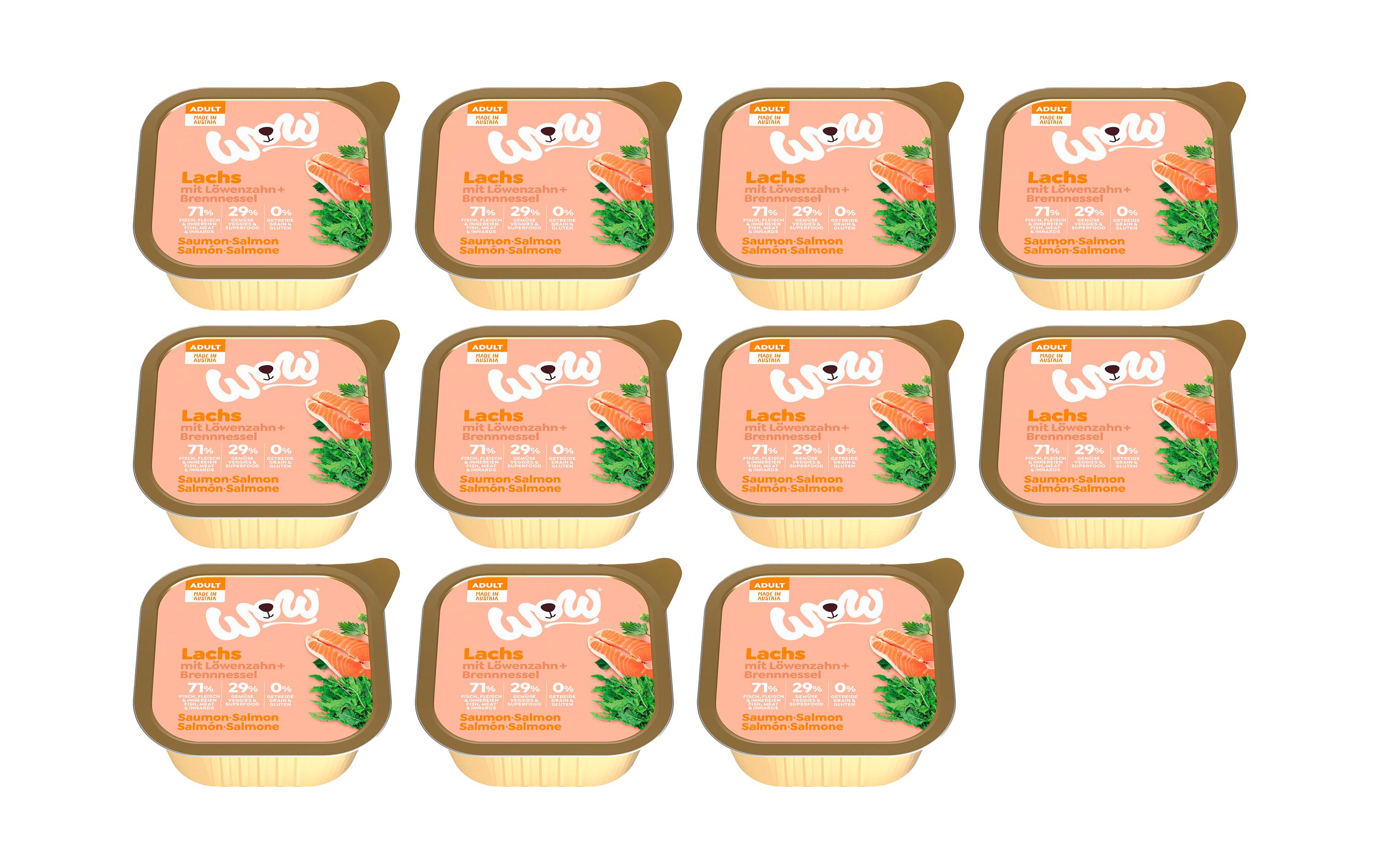 Nassfutter Adult Lachs Schale, 11 x 150 gAlleinfuttermittel für ausgewachsene Hunde