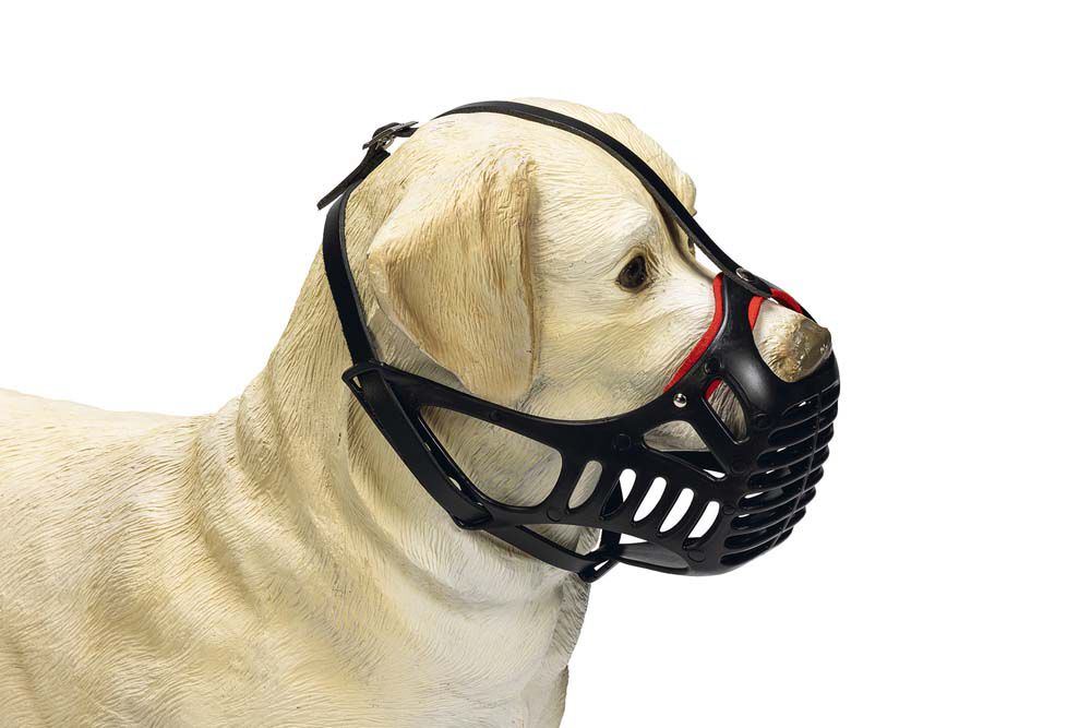 Karlie - Muilkorf - Hond met kort snuit - Zwart - L