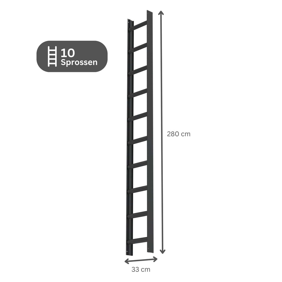 PROREGAL Dakladder Antracietgrijs 10 Sporten