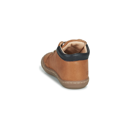 GBB - APORIDGE FLEX - Marron