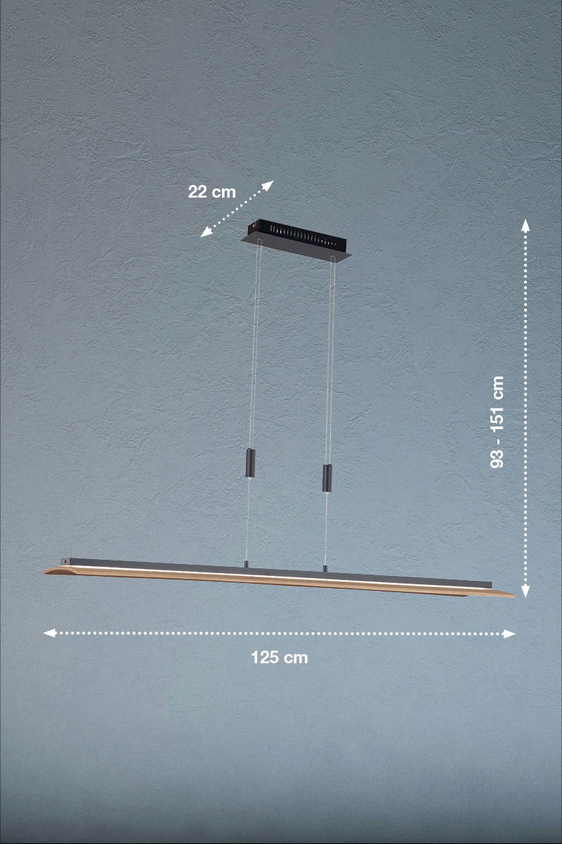 Fischer & Honsel Pendelleuchte SHINE-WOOD