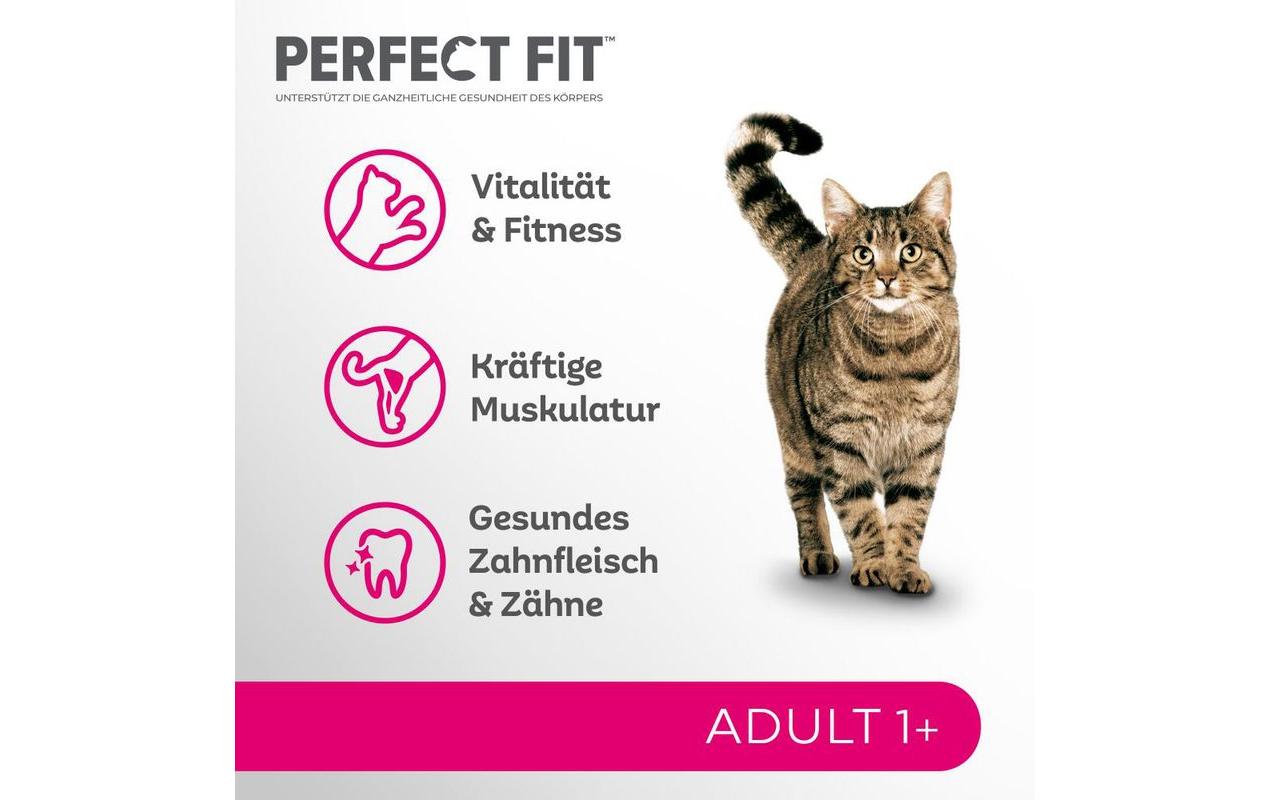 Trockenfutter CAT Trocken Adult 1+ Lachs, 1.4 kgAlleinfuttermittel für ausgewachsene Katzen