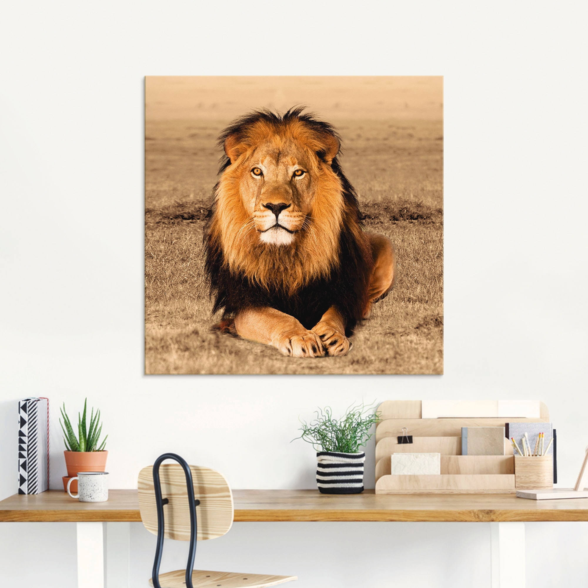 Artland Glasbild »Löwe« Wildtiere 1 Stk. tlg.