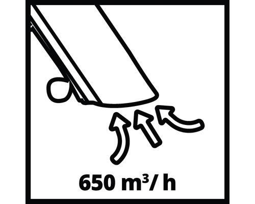 Einhell GC-EL 3024 E elektrische bladzuiger/blazer