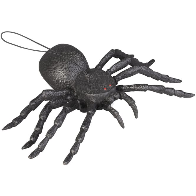 Spinne - 16 cm