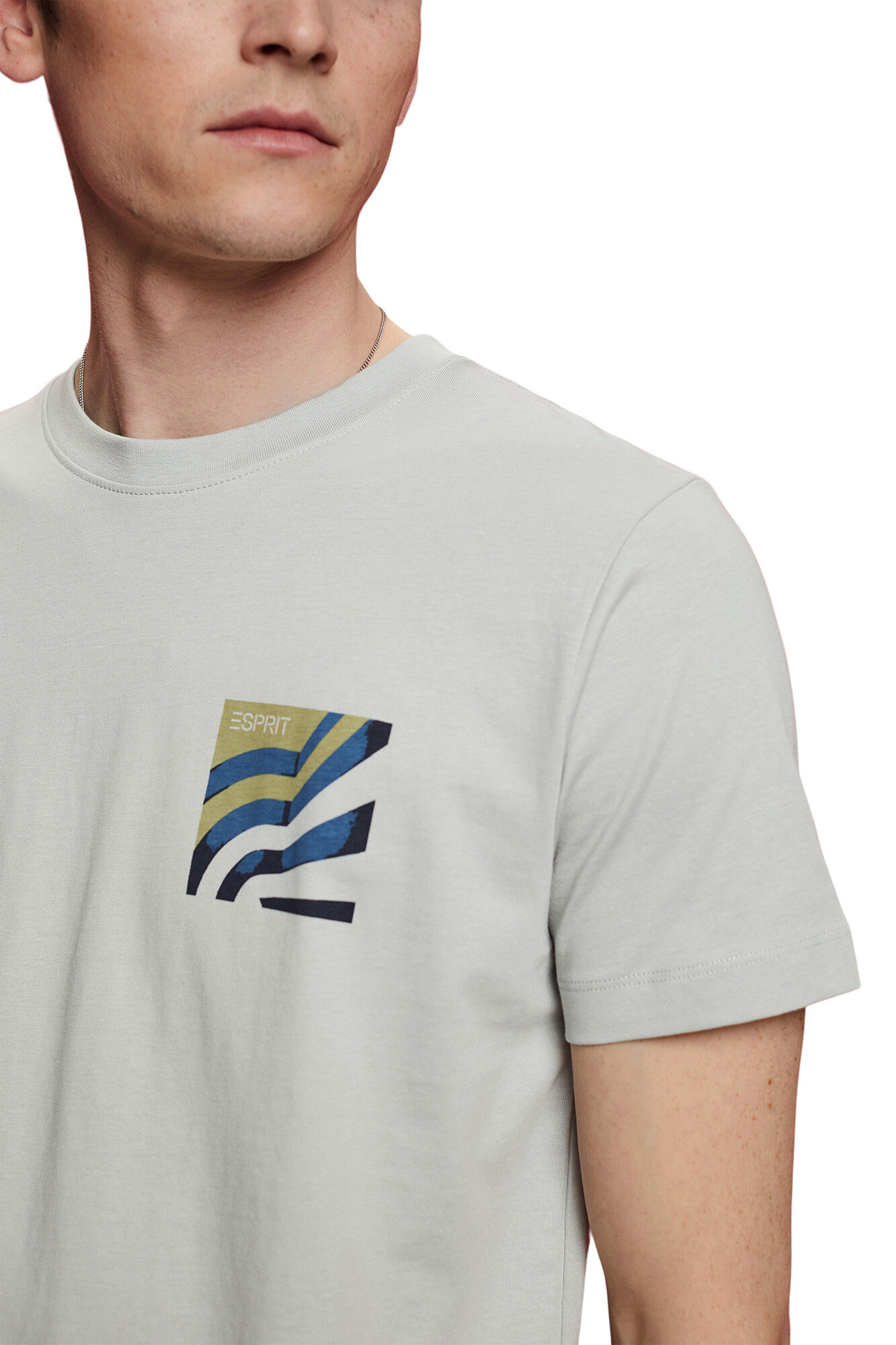 Camiseta de algodão de corte regular - Estampa cinza