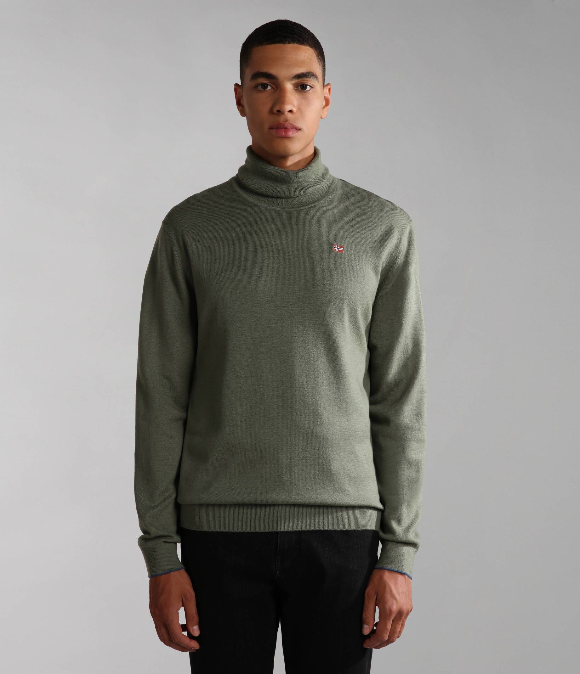 NAPAPIJRI| Herren Rollkragenpullover DAMAVAND T 1