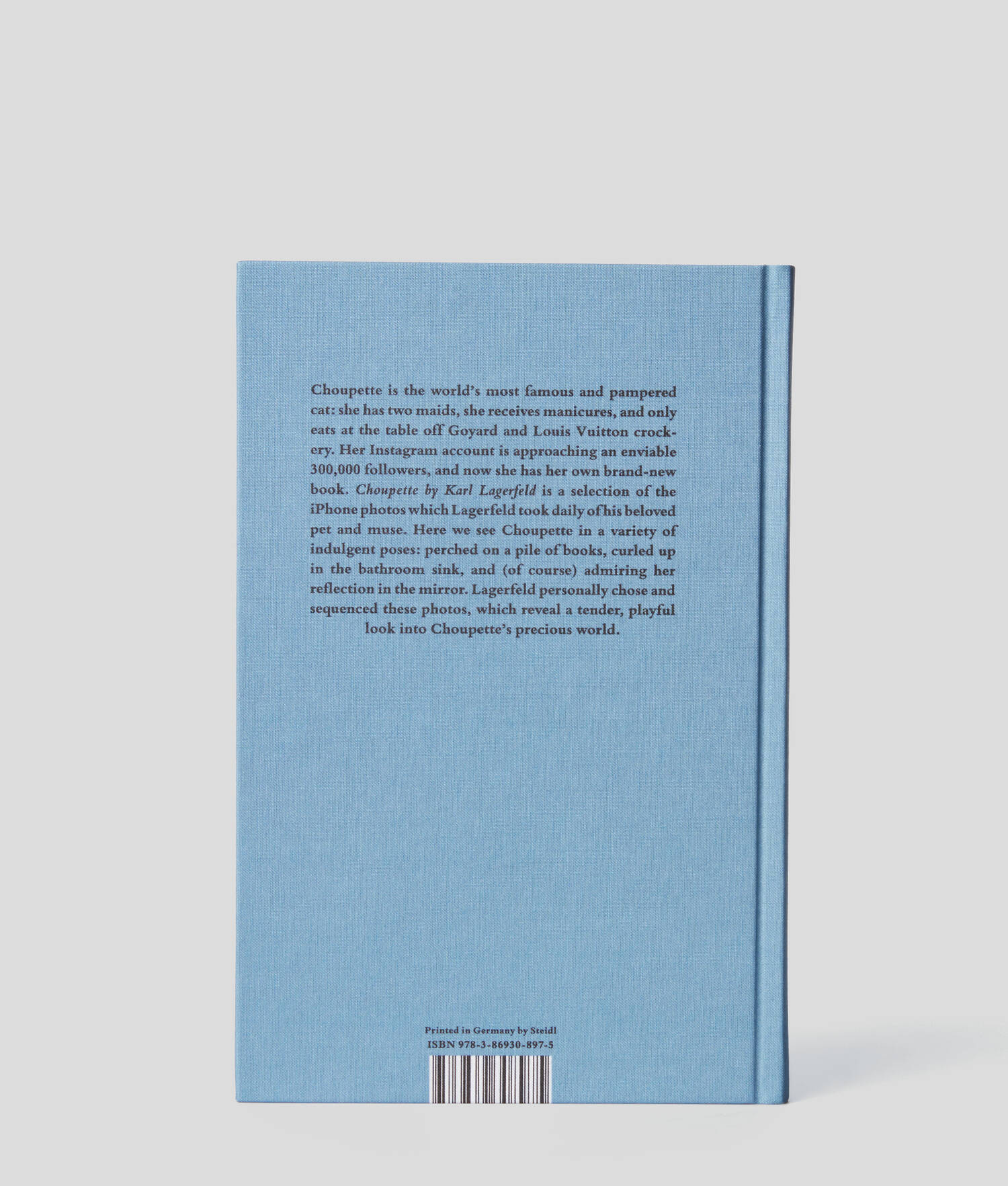 Choupette : Scrapbook Of A Cat