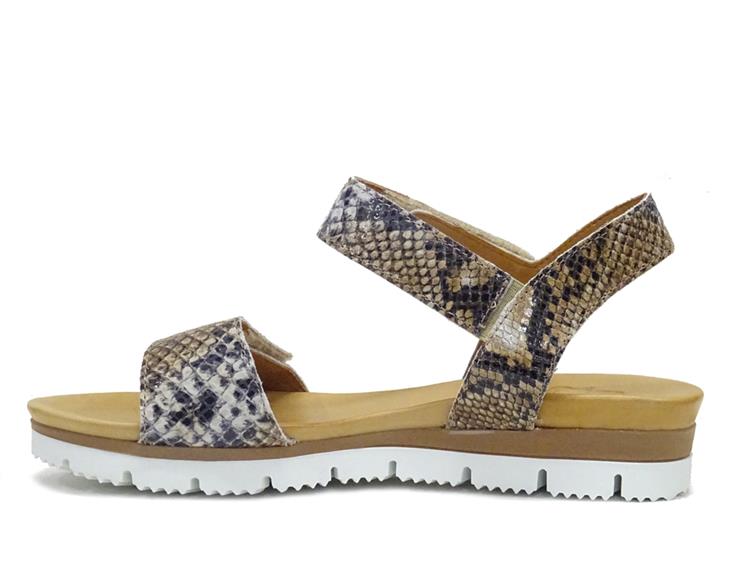AQA Shoes A8750 Snake Taupe