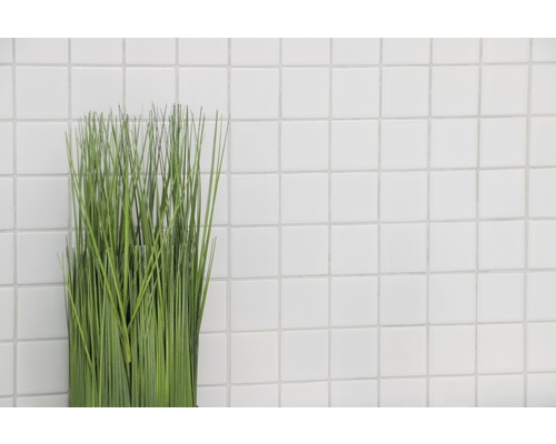 Keramisch mozaïek CD 102 wit 30x30 cm