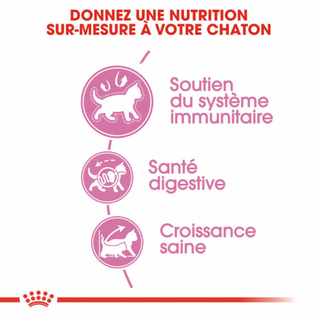 Croquettes pour chatons Royal Canin Kitten
