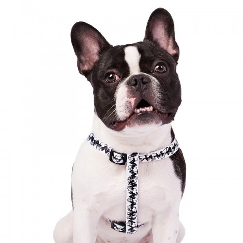 Coleira para cães Zooz Snoopy branca