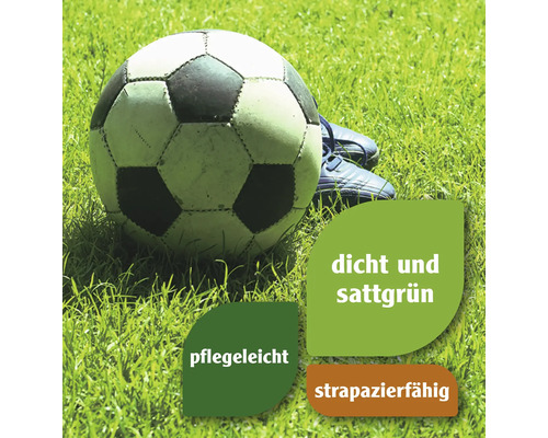 Sportgras & speelgras FloraSelf gazonzaad 1,2 kg voor 50 m²