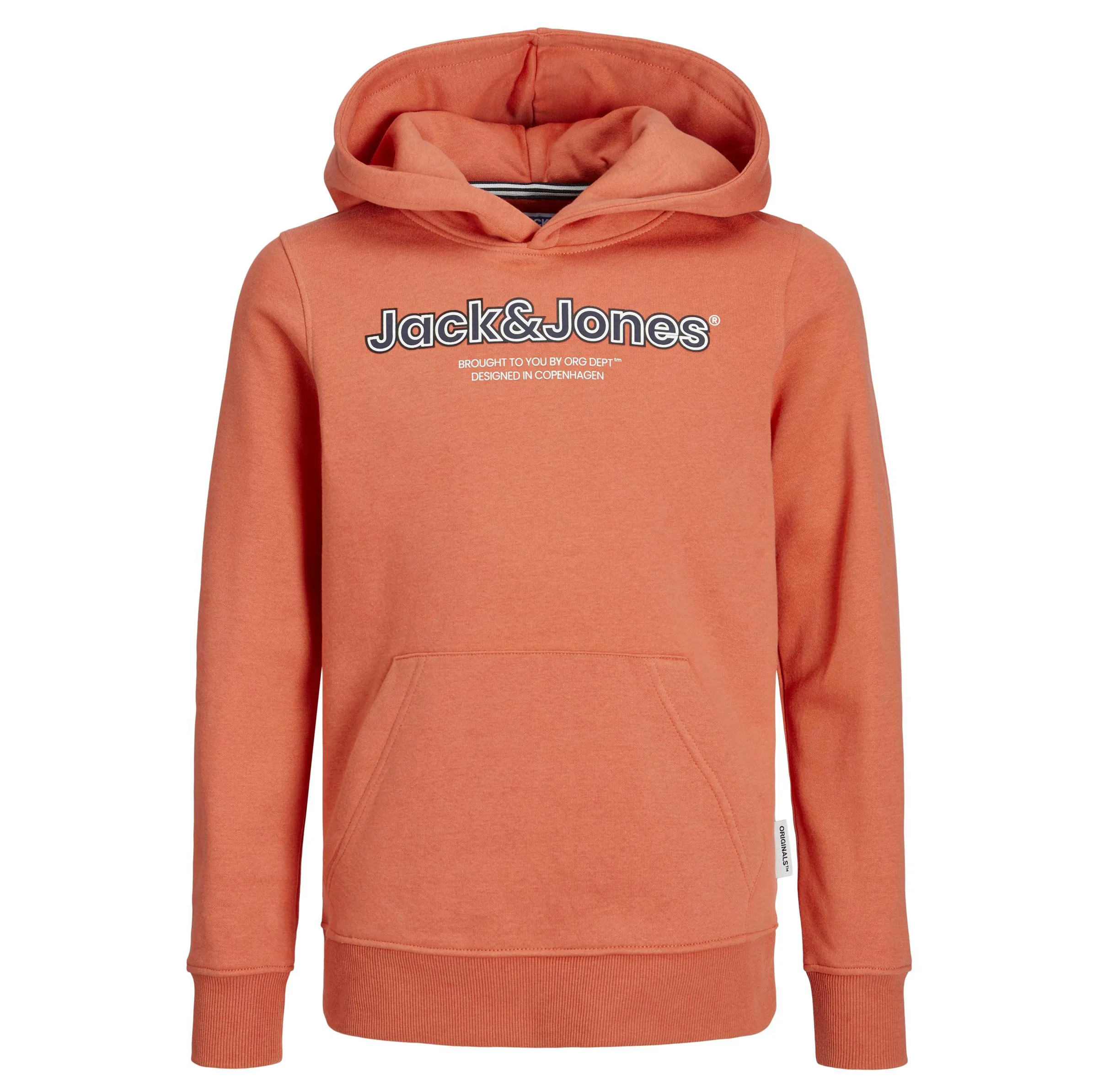 Jack&Jones Junior JORLAKEWOOD SWEAT HOO Hoodie