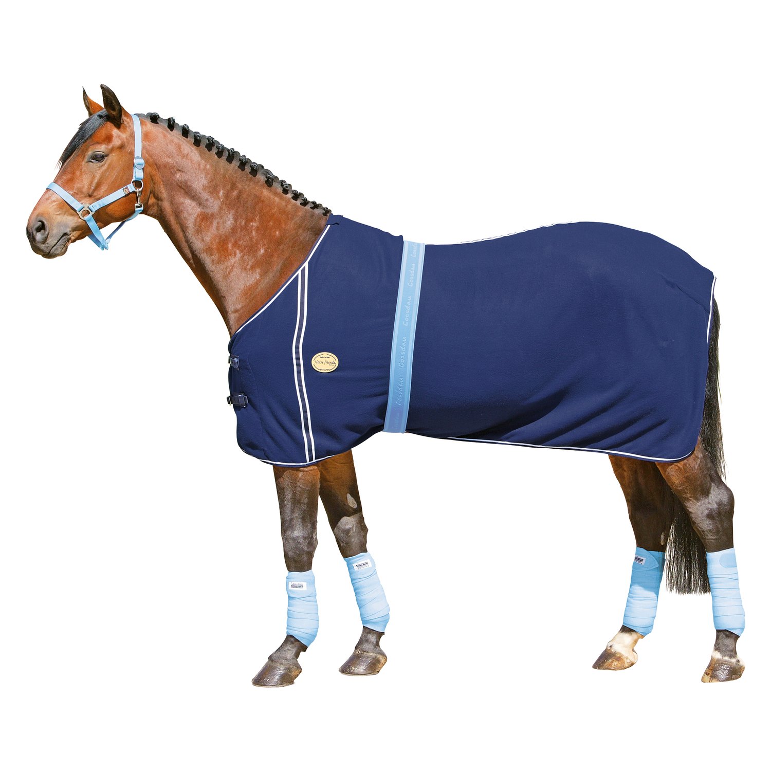 Horse-friends Abschwitzdecke - marine