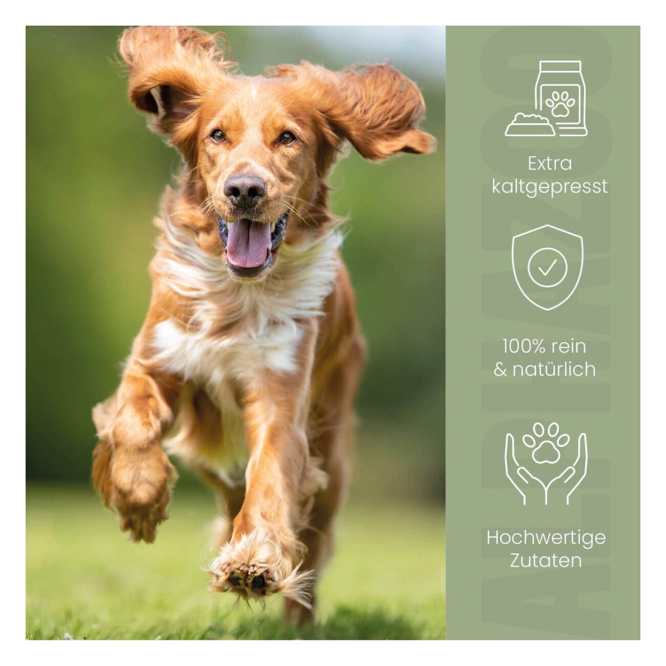 ALPHAZOO Premium Hanföl für Hunde & Katzen I Entspannung und Fellglanz 300 g