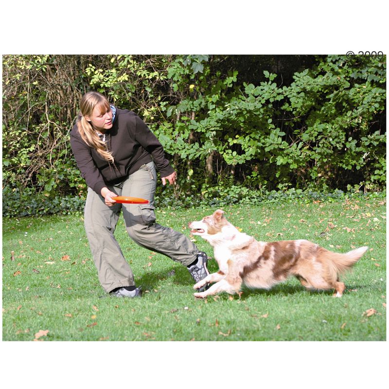 Frisbee Trixie Dog Activity Disc à prix discount sur bitiba.fr