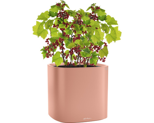 Lechuza Pila Color 35 koraalrode plantenbak