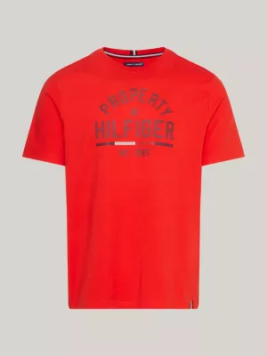 Camiseta com estampa esportiva