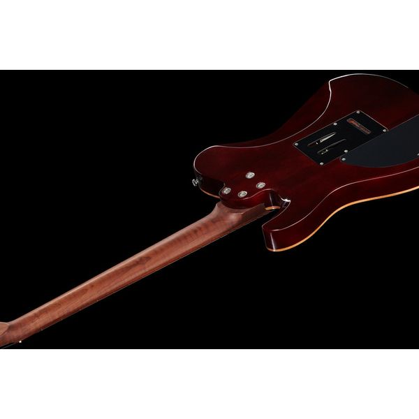 Harley Benton Fusion-T HH Roasted FNT Bundle
