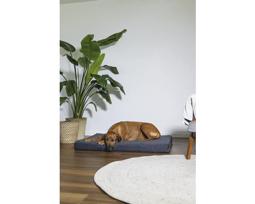 Beeztees Orthopedisch Hondenkussen Zira 100 x 70 cm Donkergrijs
