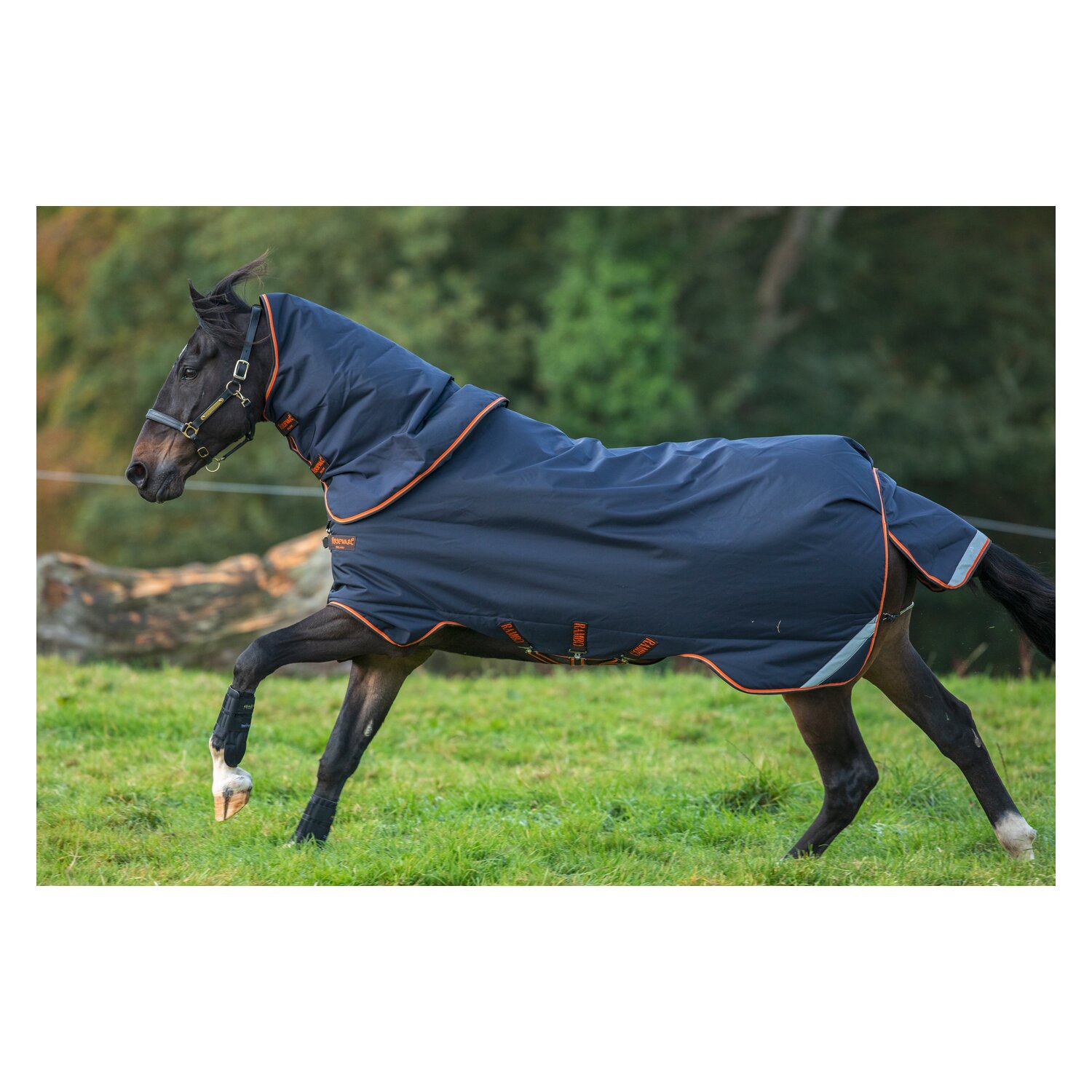 HORSEWARE Outdoordecke RAMBO Original Lite 100 g - navy
