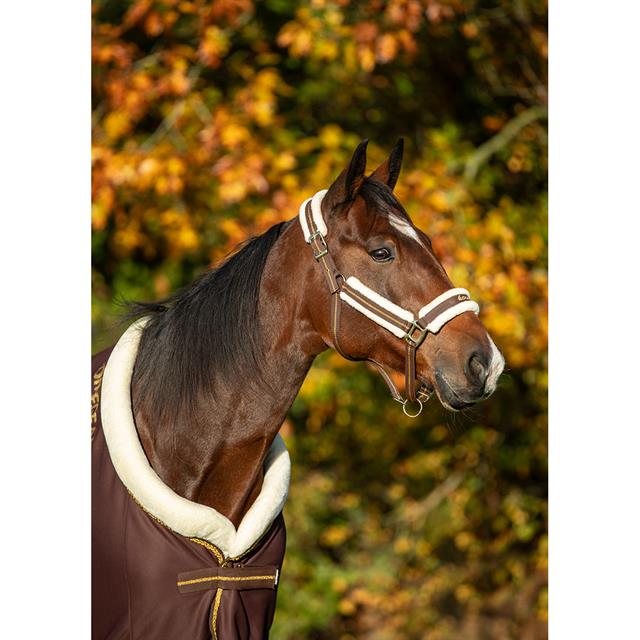 Halster HORSEGEAR HGLyx Donkerbruin