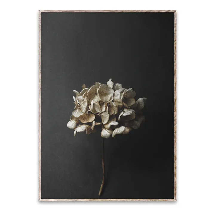 Paper Collective Affiche Still life 04 - Hydrangea