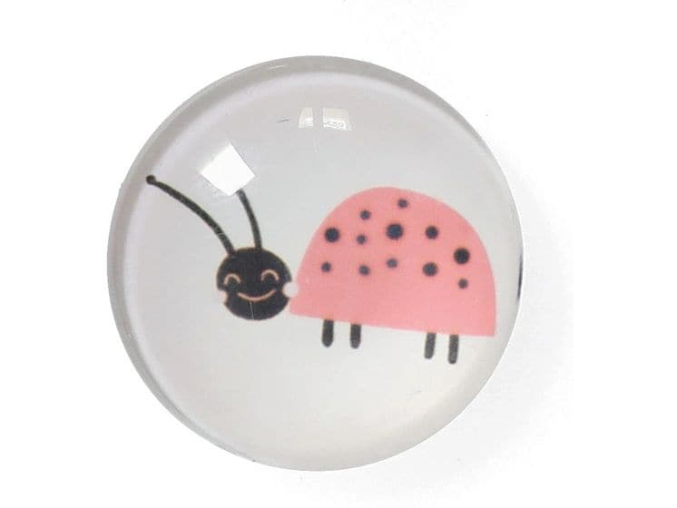 Zeller Present Magnete Insekten 4 Stück Magnetset