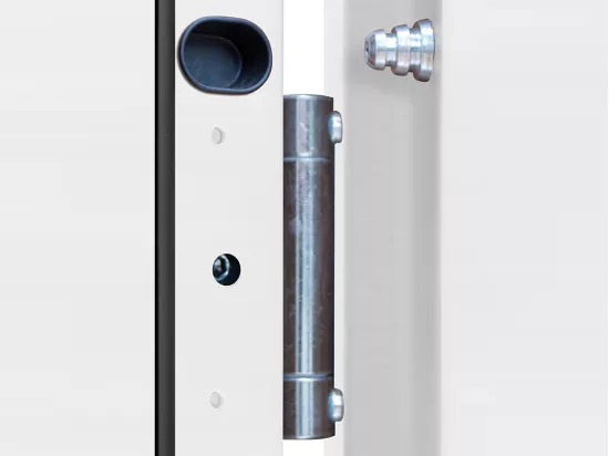 Porte d'entrée en acier pleine H207 x L100 cm effet chêne - poussant droit - AGUEDA