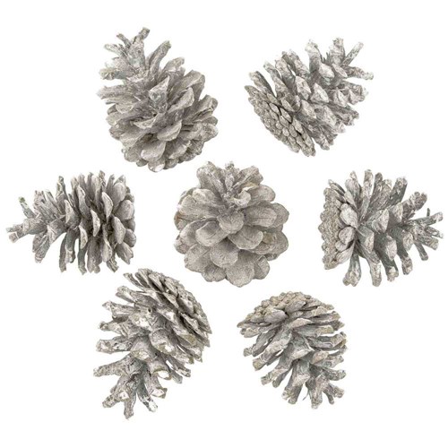 Pommes de pin blanchies - 1 kg