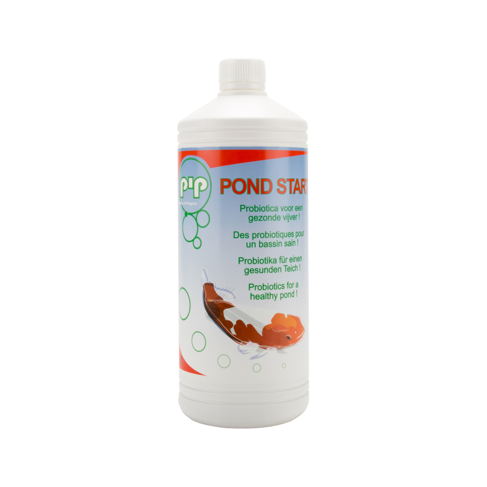 PIP Pond