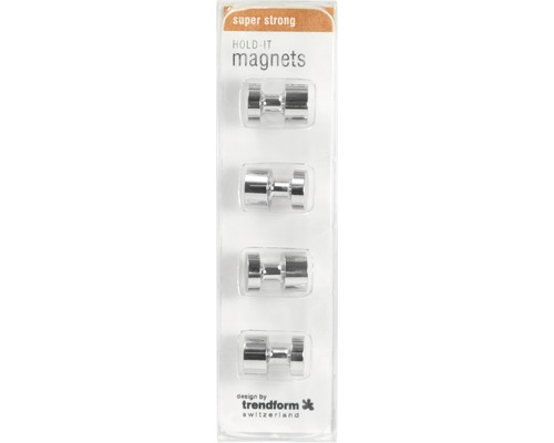Decoratieve magneet Hold-it zilver, set van 4
