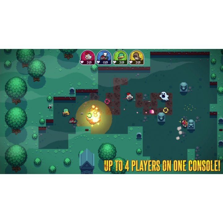 Blazing Beaks- Nintendo Switch
