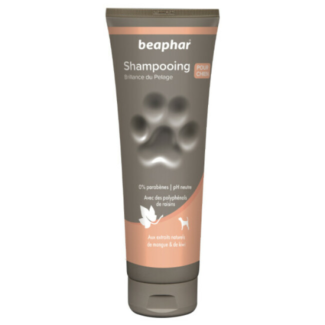 Shampoing spécial éclat du pelage Beaphar