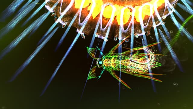 Sparkle 2