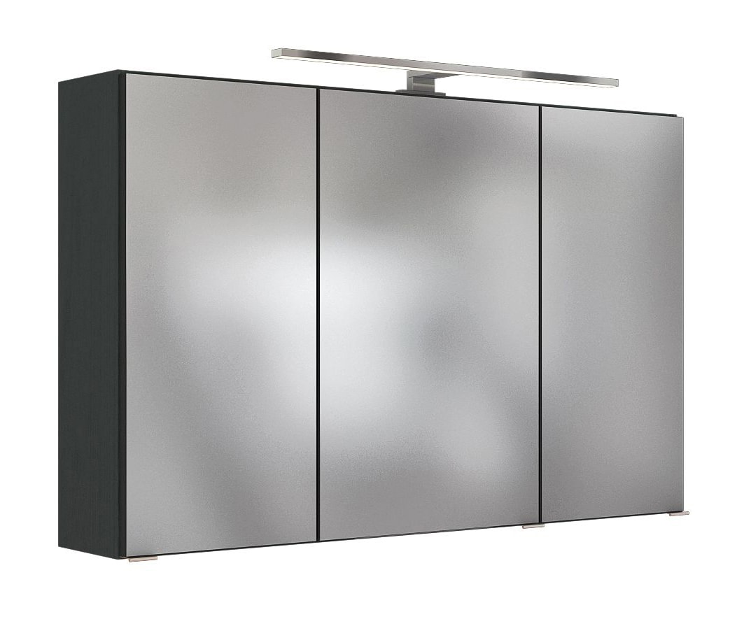 Spiegelschrank Bregenz grau B/H/T 100x64x20 cm
