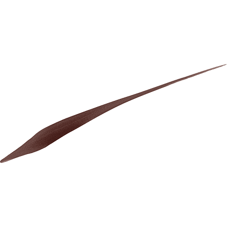 Eyeliner 02 Brown